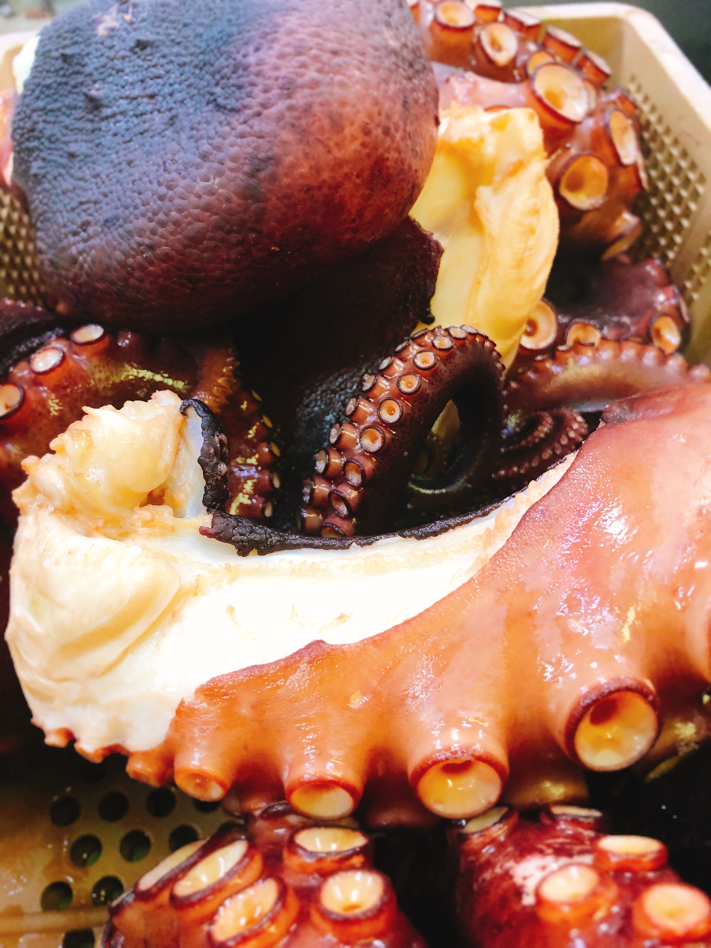 鳥羽安楽島産特大タコ | 伊勢海老 海鮮蒸し料理 華月